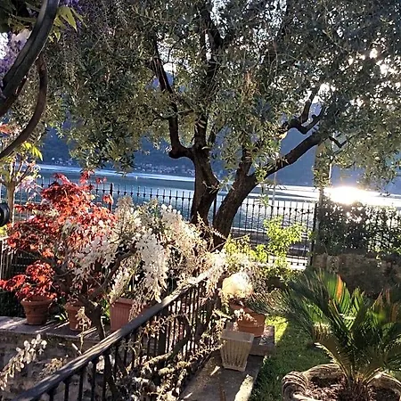 Oda ve Kahvaltı - Foresteria - Frontelago Mandello del Lario